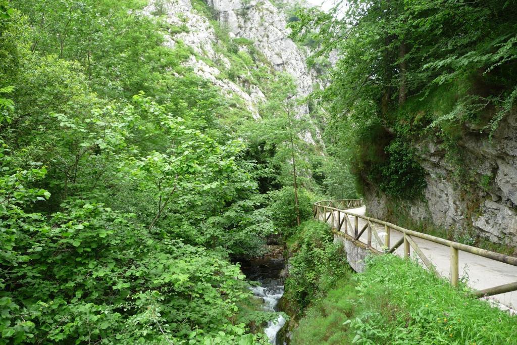 Hotel Rural El Fondon Soto De Agues Eksteriør bilde